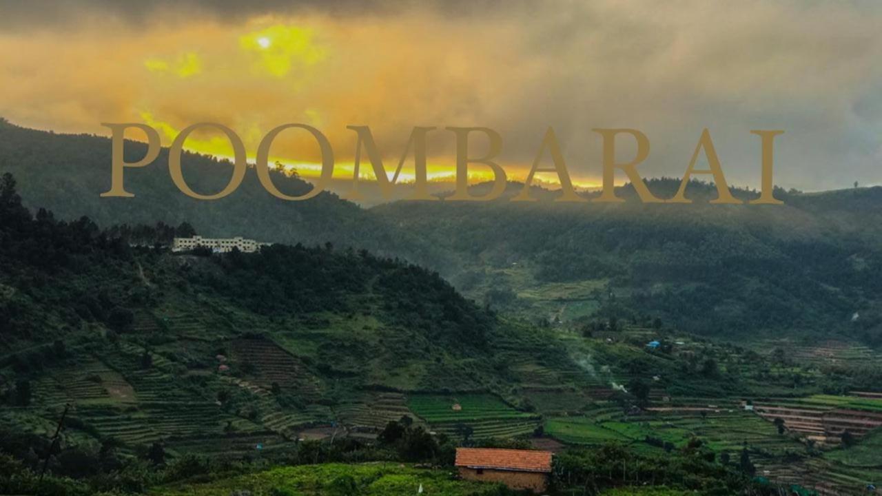 Tree Top Villa Kodaikanal Homestay Exteriér fotografie